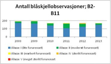 blåskjellobservasjoner