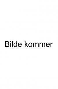 Bilde av Jonas Ringstad Beckmann