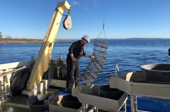 God økologisk tilstand ved Langøya